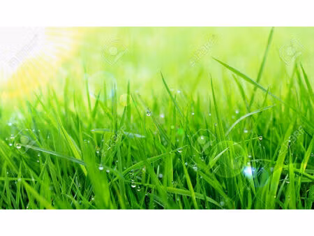 terrain 0 pièces 625 m² à vendre / acheter bruges 33520 ? | era immobilier