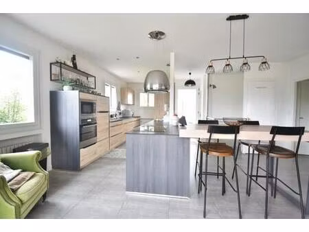 vente maison 7 pièces 203 m² saint-jean-de-niost (01800)