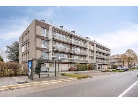 appartement te koop in hasselt met 3 slaapkamers