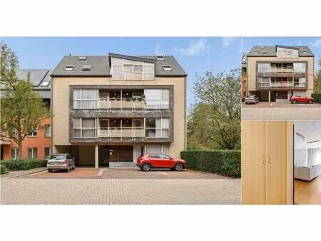 appartement à vendre à boerenkrijgstraat 8 geel (rbv31166)