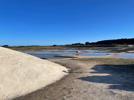 guerande - dans un village de paludier : belle neo-bretonne atypique avec beaucoup de cara