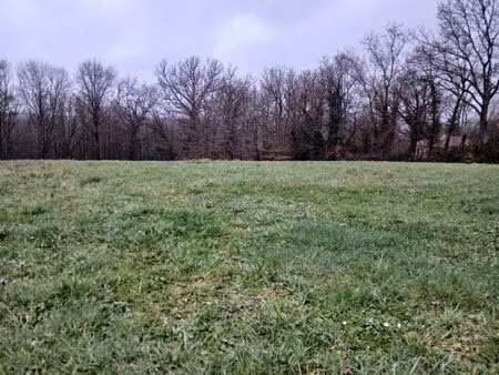 vente terrain 4000 m² ribérac (24600)