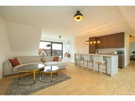 luxe penthouse met 3 slaapkamers met prachtig terras in ranst!