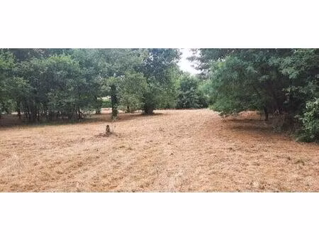 vente terrain 380 m² salles (33770)