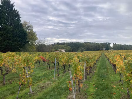 vente terrain 1500 m² saint-sauveur-de-puynormand (33660)