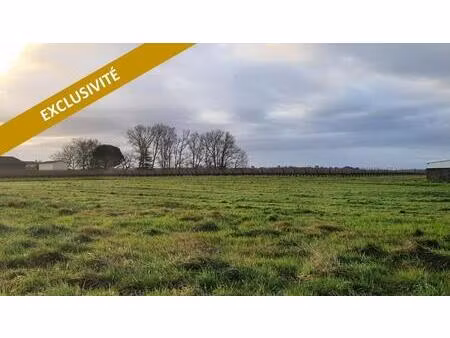 mazeres - terrain à batir 2013 m2