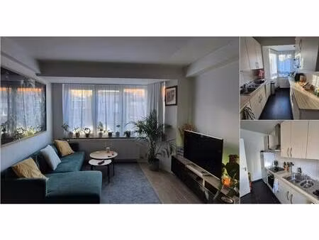 appartement à louer à avenue constant montald woluwe-saint-lambert (vbd89452)
