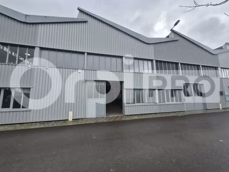 local d'activite a louer