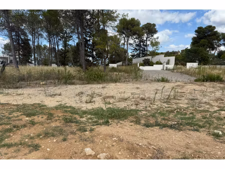 annonce terrain à vendre