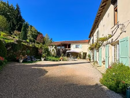 vente maison 9 pièces 300 m² salies-du-salat (31260)