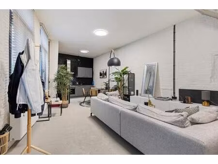 triplex loft-appartement te koop in centrum antwerpen