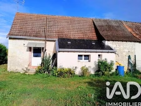 vente maison 2 pièces 45 m² crouzilles (37220)