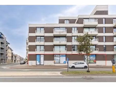 commercieel te koop in de panne