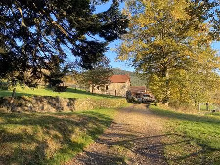 propriété au coeur du parc naturel du livradois-forez 27 h