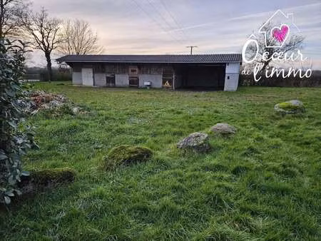 vente maison piscine à yzernay (49360) : à vendre piscine / 150m² yzernay