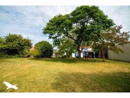 vente maison piscine aux velluire-sur-vendée (85770) : à vendre piscine / 310m² les vellui