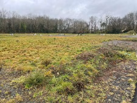vente terrain à saint-aignan-grandlieu (44860) : à vendre / saint-aignan-grandlieu
