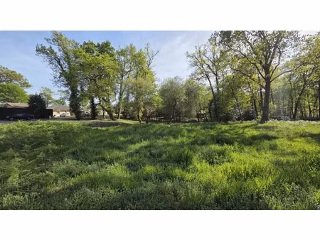 vente terrain 1187 m² gourbera (40990)
