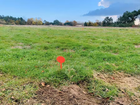 vente terrain à construire 800 m² saint-andré-de-cubzac (33240)
