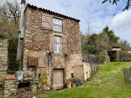 vente maison avec terrain et terrasses  camares