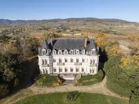 à 45 min de lyon  au sommet d'une colline du beaujolais et ses vignes  un château de 1850 