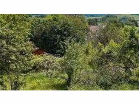 terrain constructible viabilisé à vendre