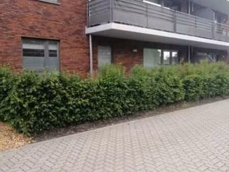 très bel appartement au coeur de la ville de mons