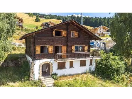 cimalpes les saisies