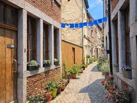 charmant appartement triplex 2ch + bureau en outremeuse