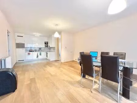 superbe appartement 1 chambre avec grande terrasse