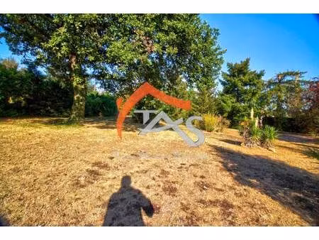 trans'actions services