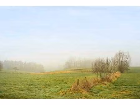 maison de plain-pied magnifiquement située avec atelier !