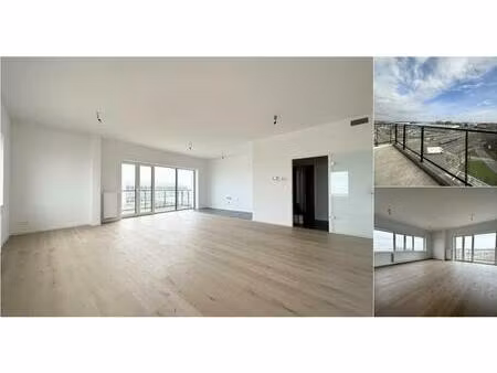 appartement à louer à avenue leopold iii 53 evere (vbd89470)