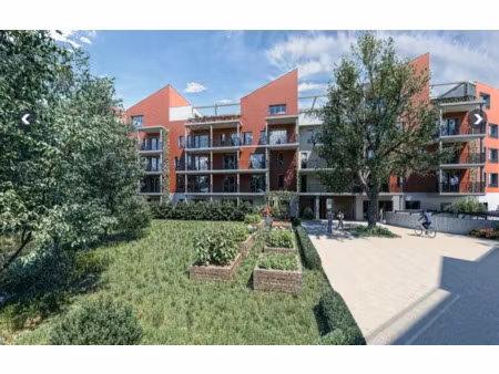 local commercial a vendre