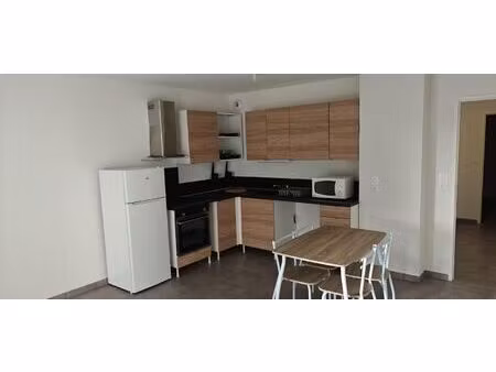 location appartement 2 pièces 43 m² à villeurbanne (69100)