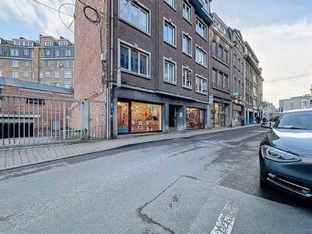 appartement dans le centre-ville