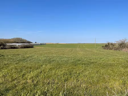 vente terrain 4300 m² auchay-sur-vendée (85200)