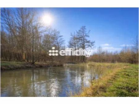 vente terrain 3601 m² à beaumerie-saint-martin (62170)  41 000 €