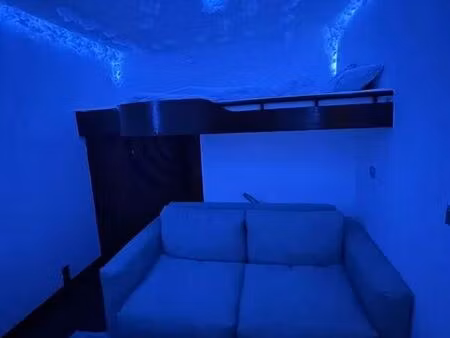 location appartement 1 pièce 20 m² à arcueil (94110)