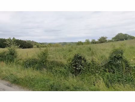 vente terrain 4770 m² à fabas (31230)  70 000 €