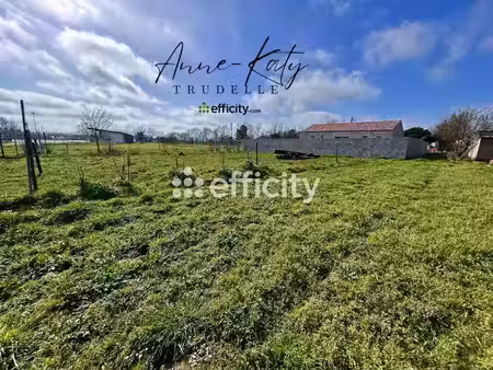 vente terrain 669 m² à la mothe-achard (85150)  94 800 €