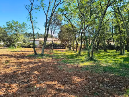 vente terrain 1055 m² à saint-siffret (30700)  202 000 €