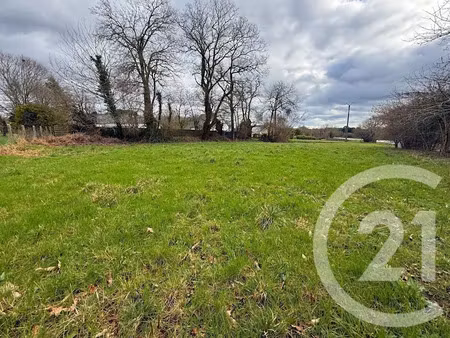 vente terrain à batir 1323 m² à grand-champ (56390)  189 000 €