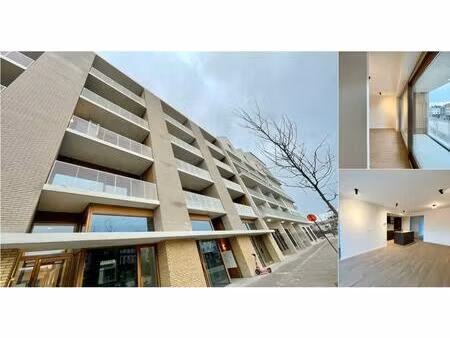 appartement à louer à lange lobroekstraat 110 anvers (rbv31462)