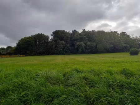 vente terrain 730 m² à sadirac (33670)  140 000 €