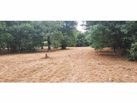 vente terrain 380 m² à salles (33770)  144 000 €