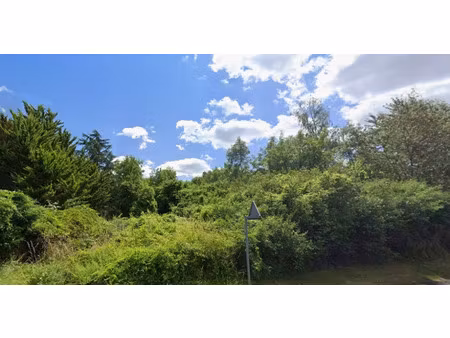 vente terrain 677 m² à saint-fargeau-ponthierry (77310)  164 000 €