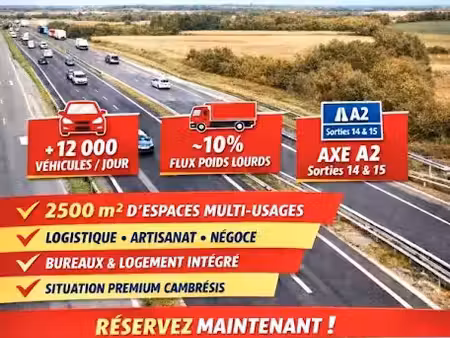 vente locaux professionnels 2465 m² à escaudoeuvres (59161)  842 500 €