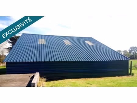 vente locaux professionnels 63000 m² à cléder (29233)  237 416 €