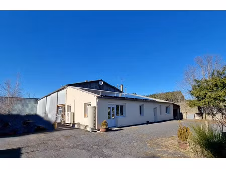 vente locaux professionnels 0 pièces 5870 m² à saint-jeures (43200)  300 000 €
